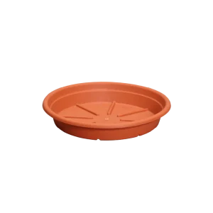 10″ Saucer